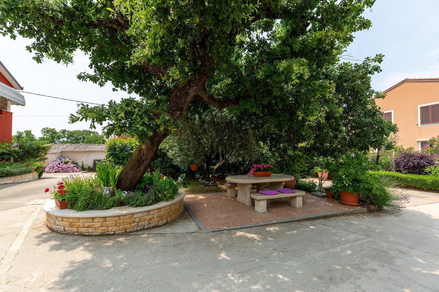 Apartman Angolo Verde Vizinada ภายนอก รูปภาพ